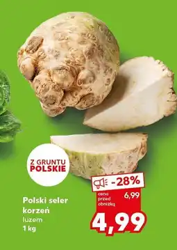 Kaufland Seler korzenny polski Kaufland oferta