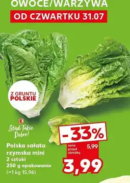 Kaufland Sałata rzymska mini polska Kaufland oferta