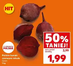 Kaufland Buraki czerwone młode Kaufland oferta