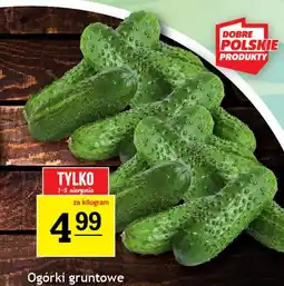 Gram Market Ogórki gruntowe oferta