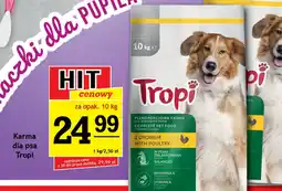 Gram Market Karma dla psa Tropi oferta