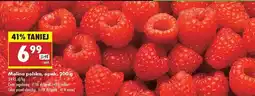 Biedronka Malina polska, opak. 200 g oferta