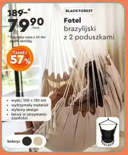 Biedronka Fotel brazylijski z 2 poduszkami oferta