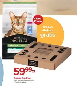 Zoo Karina Purina Pro Plan Karmna sucha dla kota oferta