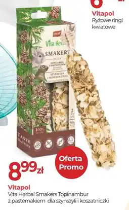 Zoo Karina Vitapol Vita Herbal Smakers Topinambur oferta