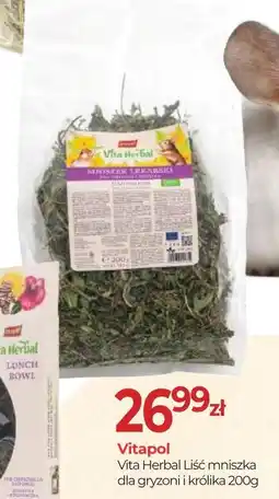 Zoo Karina Vitapol Vita Herbal Liść mniszka dla gryzoni i królika oferta