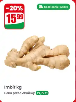 Dino Imbir 1 kg Dino oferta