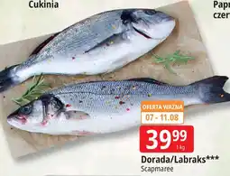 E.Leclerc Ryba dorada/labraks Seamaree oferta