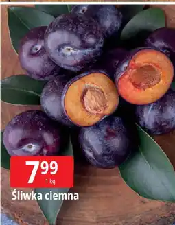 E.Leclerc Śliwka ciemna Leclerc oferta