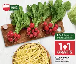 Stokrotka Rzodkiewka 1+1 GRATIS Stokrotka oferta