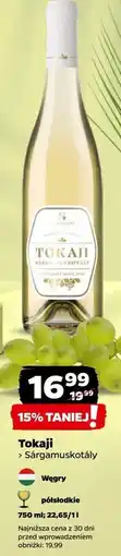 Netto Wino półsłodkie Tokaji oferta