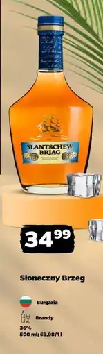 Netto Brandy Słoneczny Brzeg oferta