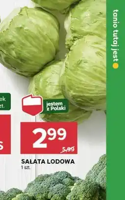 Stokrotka Market Sałata lodowa Polski oferta