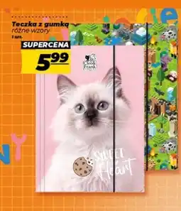 Polomarket Teczka oferta