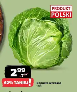 Netto Kapusta wczesna Netto oferta
