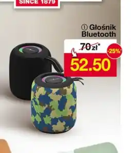 Woolworth Głośnik oferta