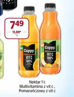 Społem Nektar Cappy oferta