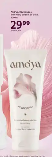 Rossmann Balsam do ciała oferta