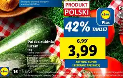 Lidl Kurki Lidl oferta