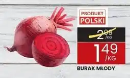 Wafelek Burak młody Wafelek oferta