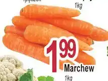 E.Leclerc Marchew oferta