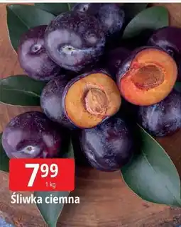 E.Leclerc Śliwki ciemne oferta