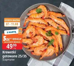 E.Leclerc Krewetki całe gotowane 25/35 Scapmaree oferta