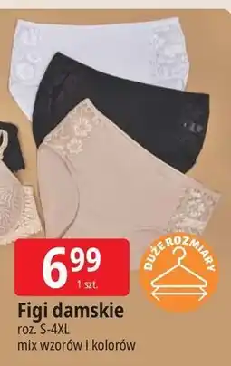 E.Leclerc Figi damskie s-4xl oferta