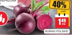 Bingo BURAKI POLSKIE oferta