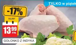 Bingo GOLONKO Z INDYKA oferta
