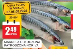 Bingo MAKRELA CHŁODZONA PATROSZONA NORIVA oferta