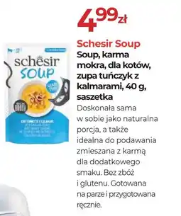 Zoo Karina Schesir Soup Soup, karma mokra, dla kotów oferta