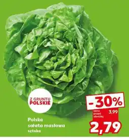 Kaufland Polska sałata masłowa sztuka oferta