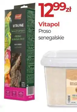 Zoo Karina Vitapol Proso senegalskie oferta