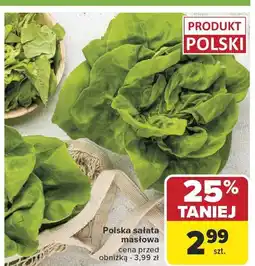 Carrefour Sałata masłowa polska Carrefour oferta