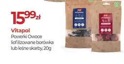 Zoo Karina Vitapol Powerki Owoce liofilizowane borówka lub leśne skarby oferta