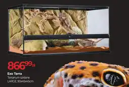 Zoo Karina Exo terra terrarium szklane large oferta