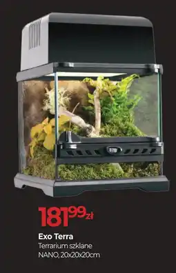 Zoo Karina Exo terra terrarium szklane nano oferta