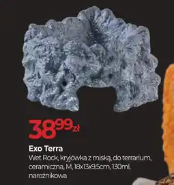 Zoo Karina Exo Terra Wet Rock, kryjówka z miską, do terrarium, ceramiczna, M oferta