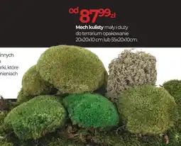 Zoo Karina Mech kulisty mały i duży do terrarium opakowanie oferta