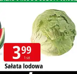 E.Leclerc Sałata lodowa oferta