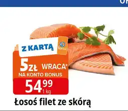 E.Leclerc Łosoś filet ze skórą oferta