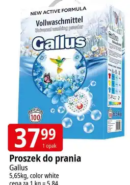 E.Leclerc Proszek do prania white Gallus oferta