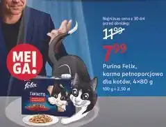 Rossmann Karma dla kota wiejskie smaki Purina Felix Fantastic oferta