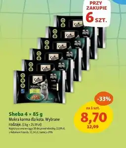 Maxi Zoo Mokra karma dla kota Sheba oferta