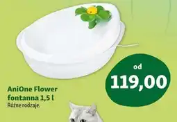 Maxi Zoo Fontanna AniOne oferta