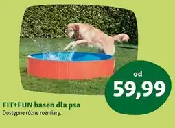 Maxi Zoo Akcesoria dla psa Fit+Fun oferta