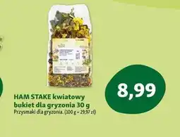 Maxi Zoo Przysmak dla gryzoni Ham Stake oferta