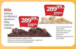 Zoo Karina Wio Zestawy do dekoracji akwarium. oferta