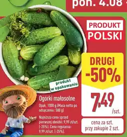 ALDI Ogórki małosolne Aldi oferta